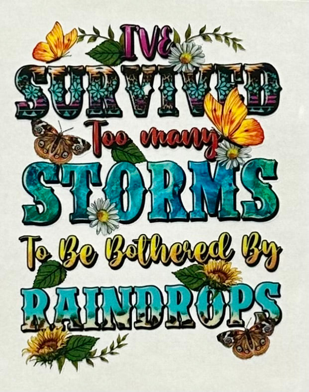 I've Survived Too Many Storms to Be Bothered By Raindrops