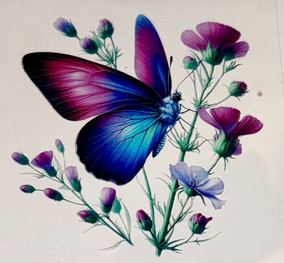 Butterfly/Flowers