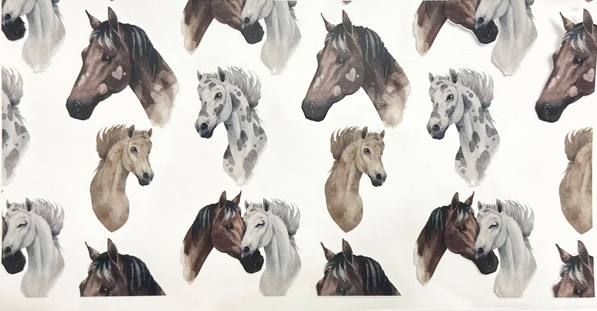 Horses