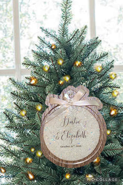 Snow Globe Christmas Ornaments